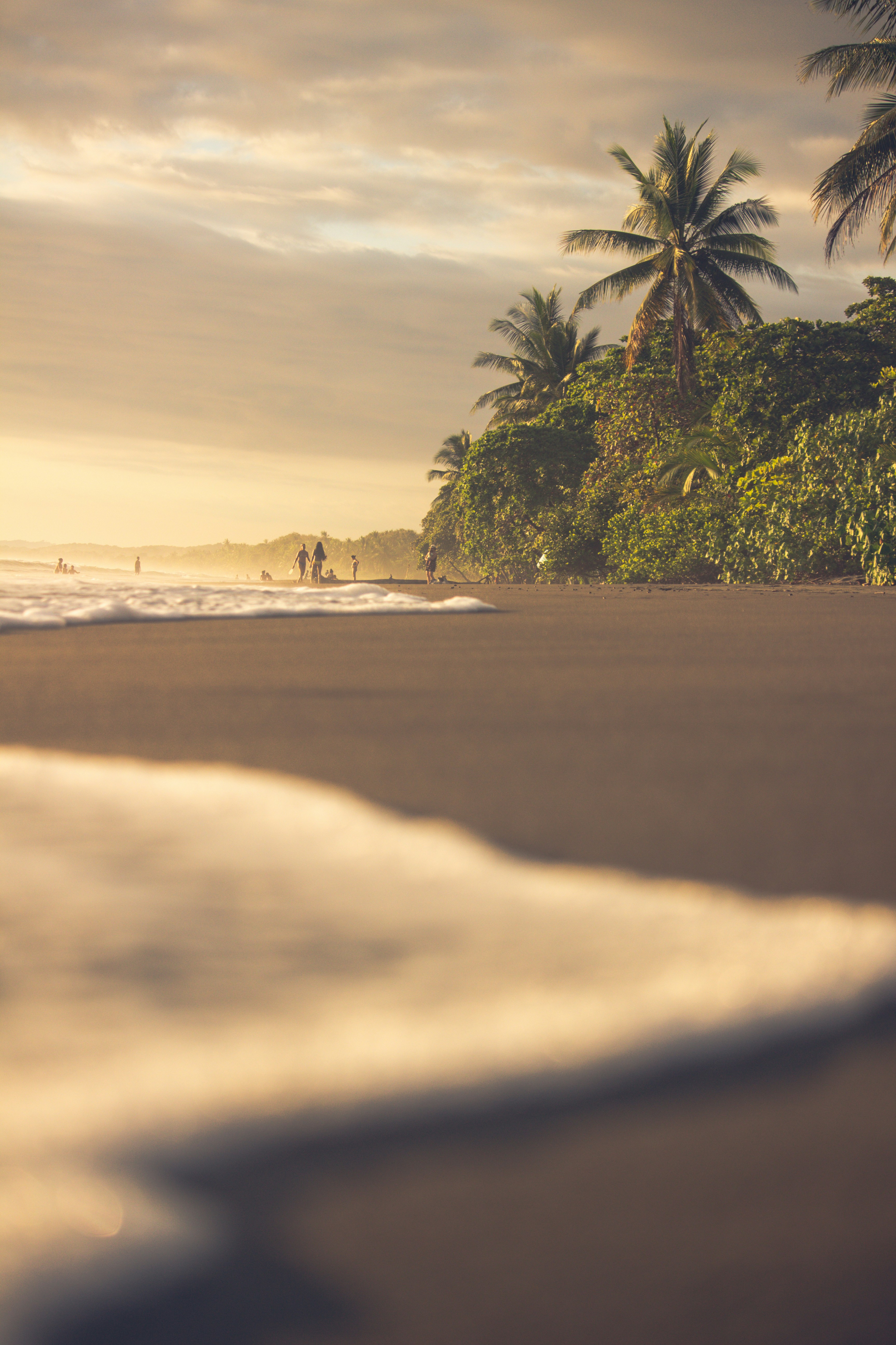 Golden hour on a palm-lined beach along Costa Rica’s Pacific coast.