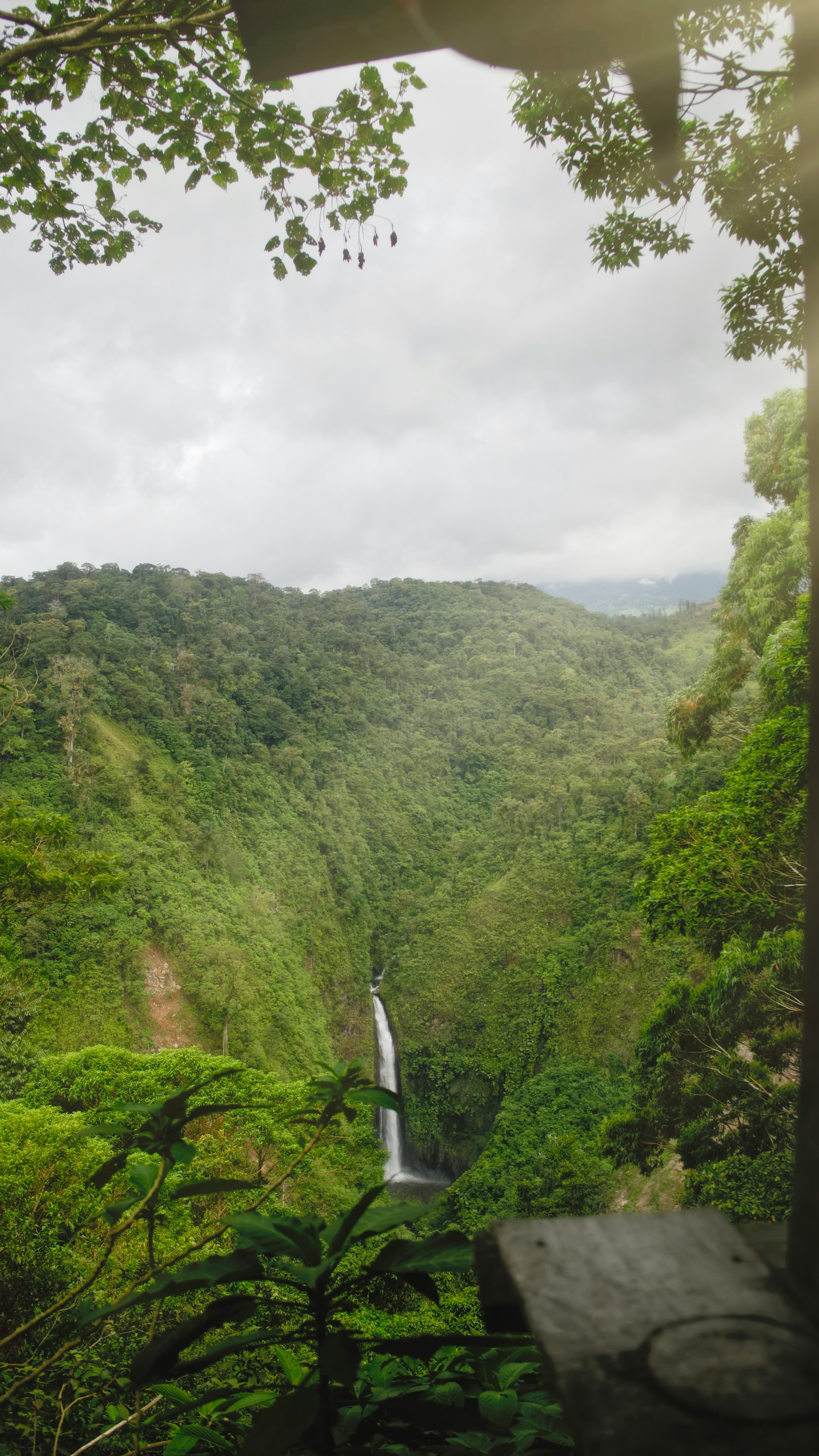 Catarata del Toro, a dramatic waterfall hidden in Costa Rica’s highland cloud forest.